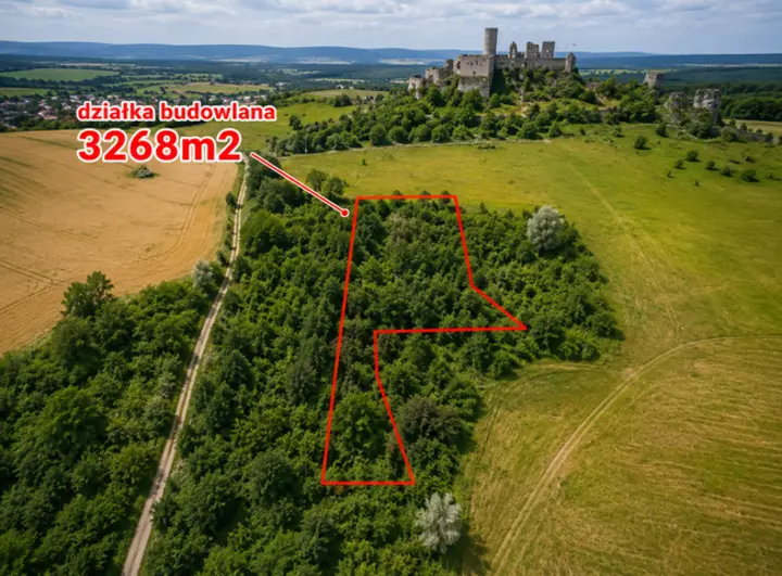 Działka, 3268 m², Ogrodzieniec