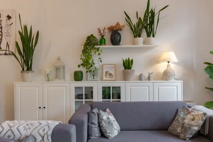 Mieszkanie 3-pokojowe, 80,8 m², Świdnica